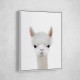 Baby Llama