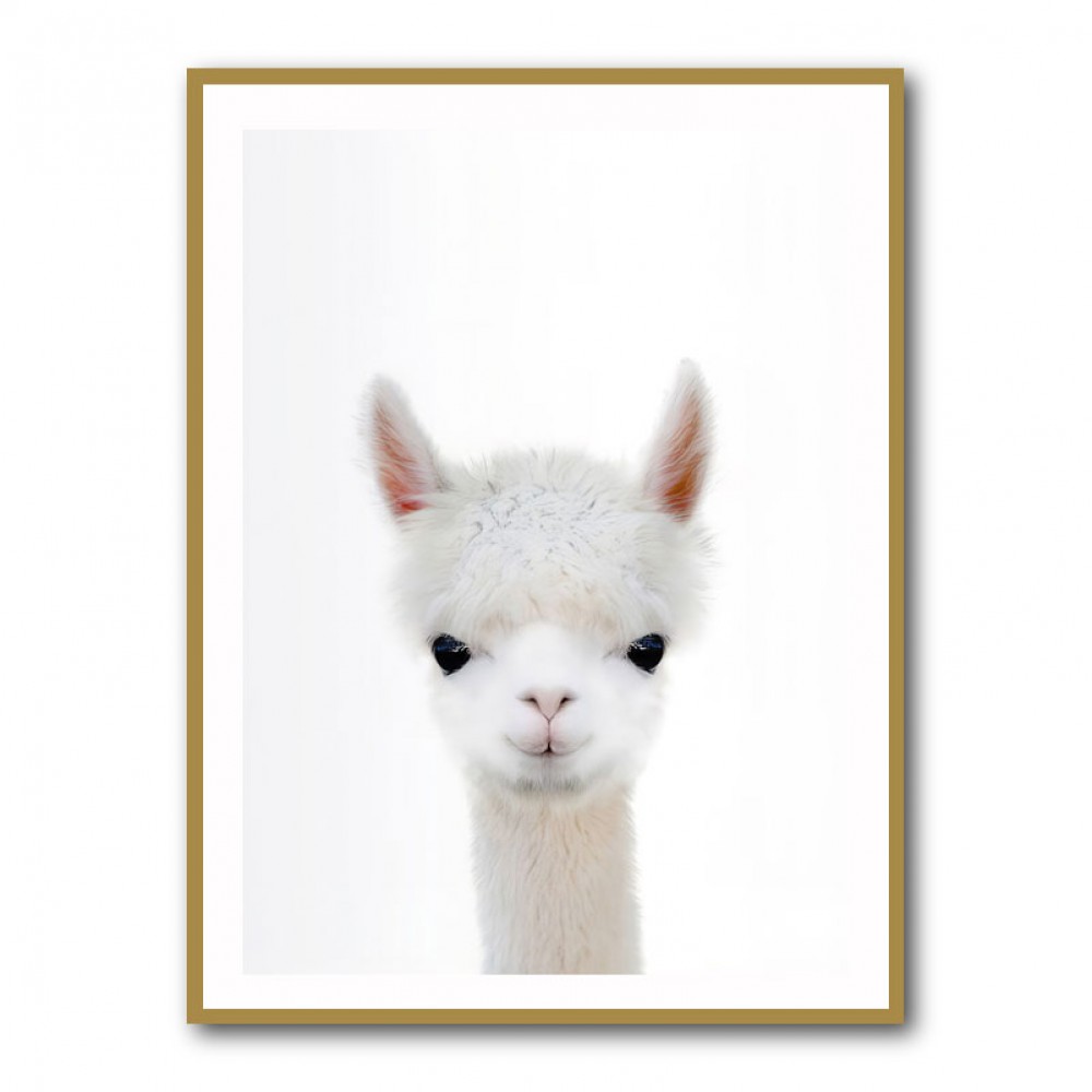 Baby Llama