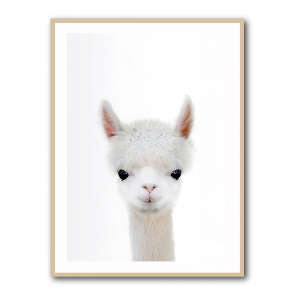 Baby Llama