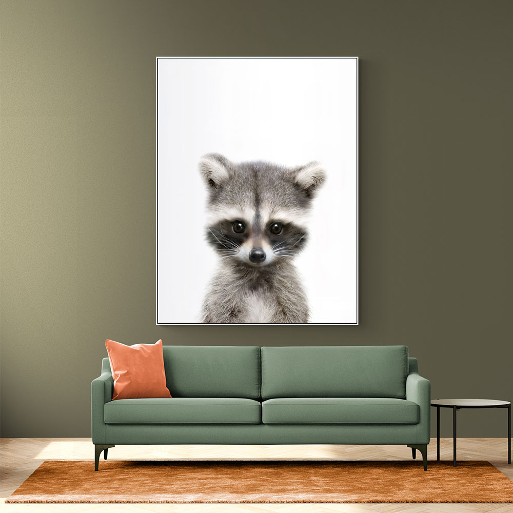 Baby Raccoon