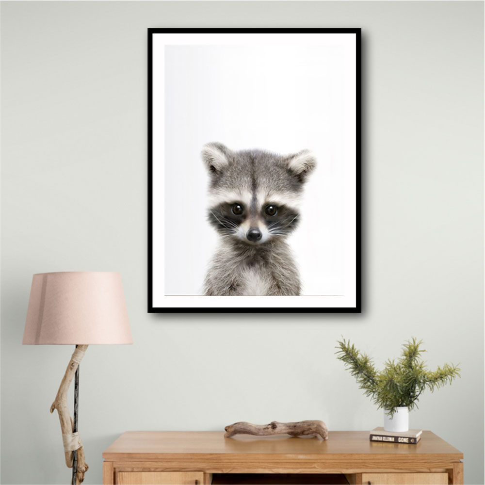 Baby Raccoon