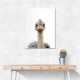Baby Ostrich Baby Ostrich