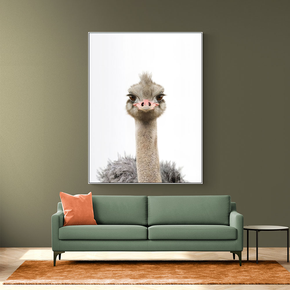 Baby Ostrich Baby Ostrich