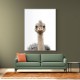 Baby Ostrich Baby Ostrich
