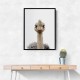 Baby Ostrich Baby Ostrich