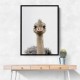 Baby Ostrich Baby Ostrich