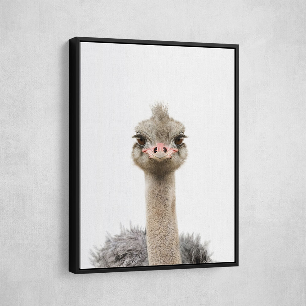 Baby Ostrich Baby Ostrich