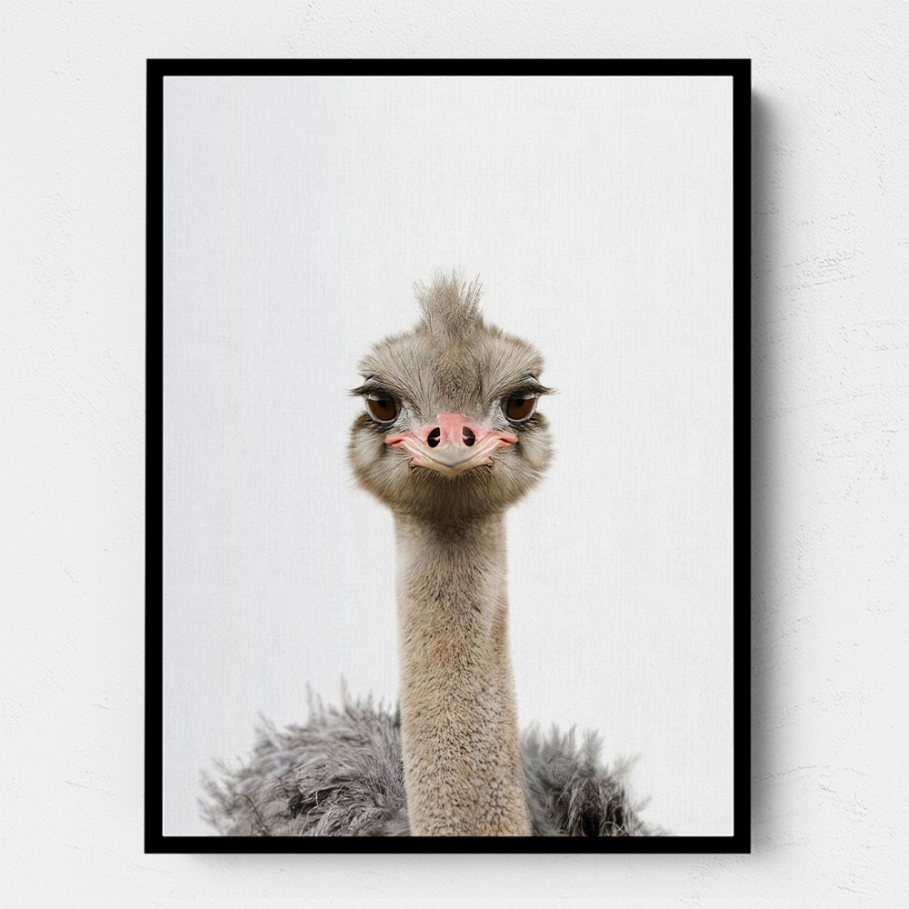 Baby Ostrich Baby Ostrich