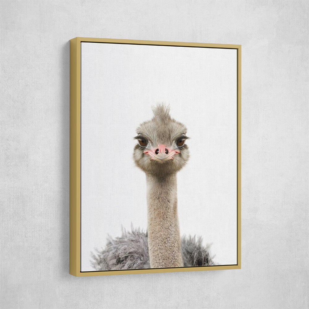 Baby Ostrich Baby Ostrich