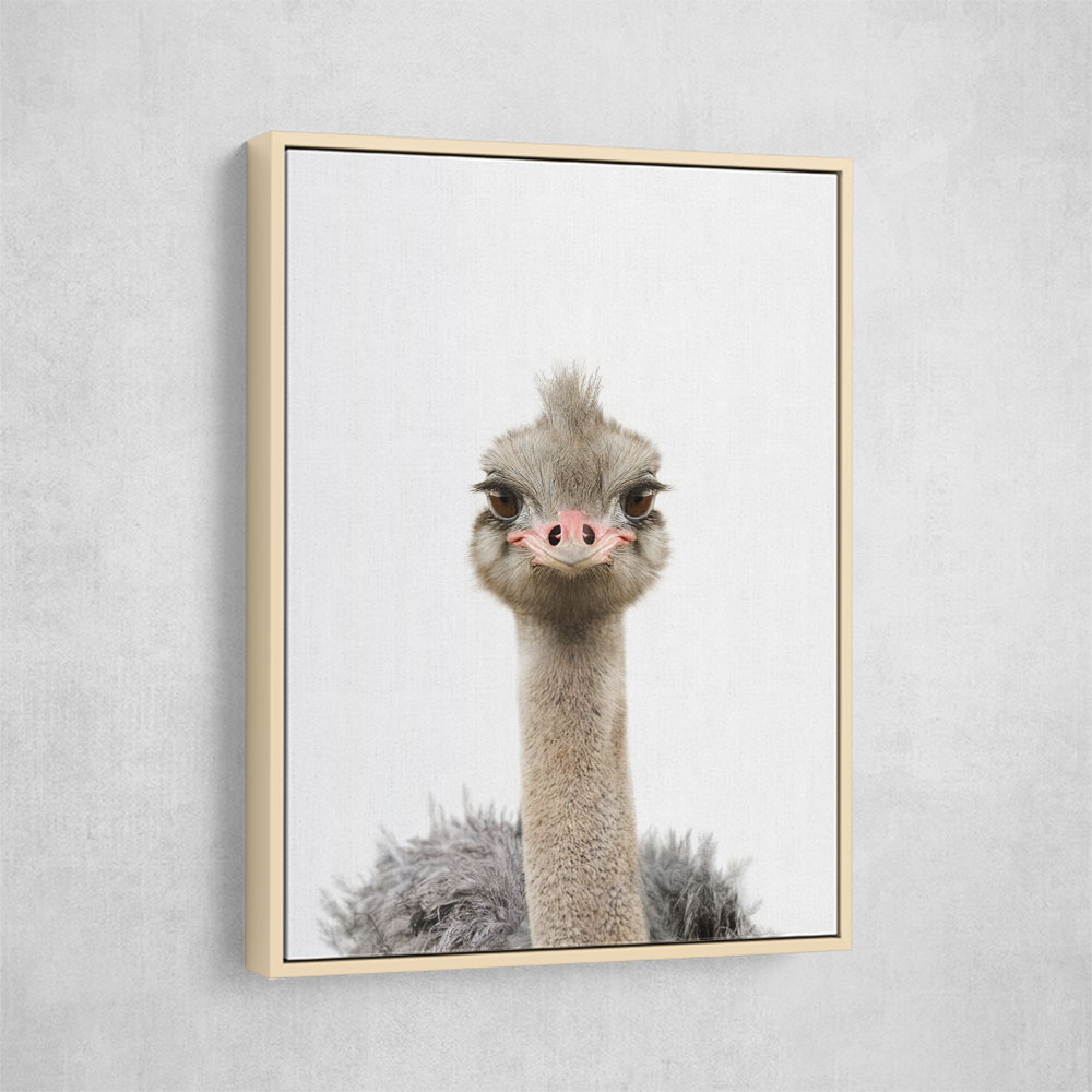 Baby Ostrich Baby Ostrich
