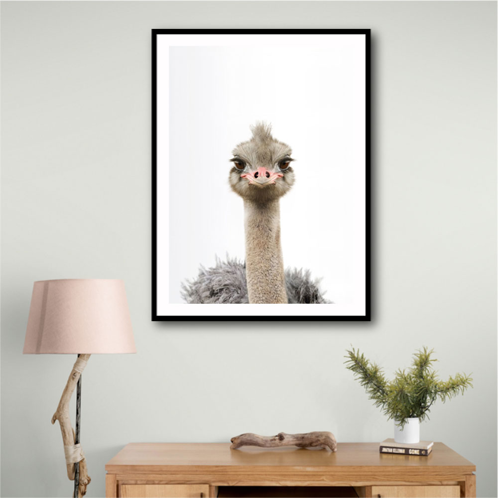 Baby Ostrich Baby Ostrich
