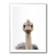 Baby Ostrich Baby Ostrich