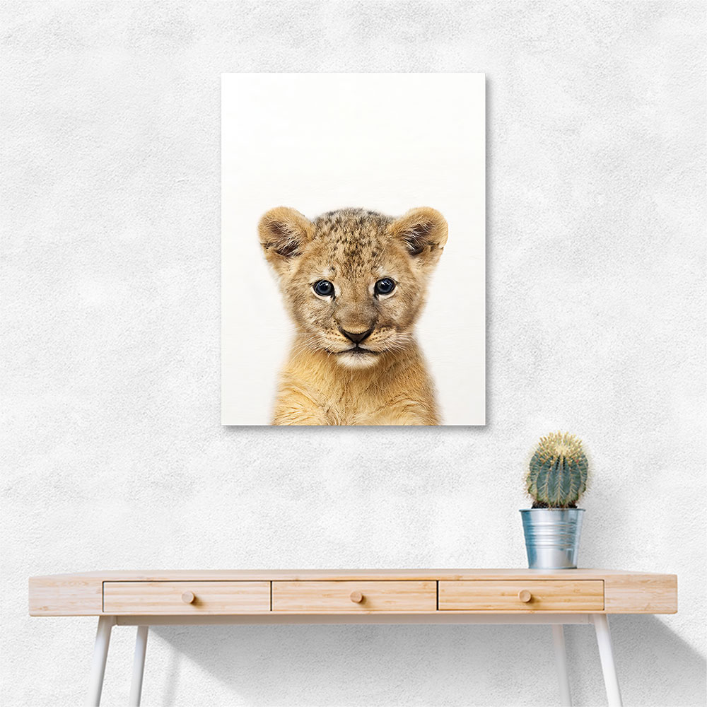 Baby Lion