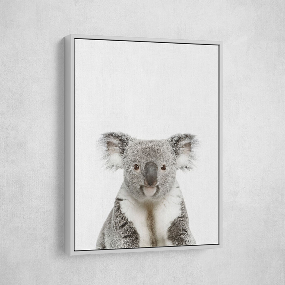 Baby Koala Bear Baby Koala Bear