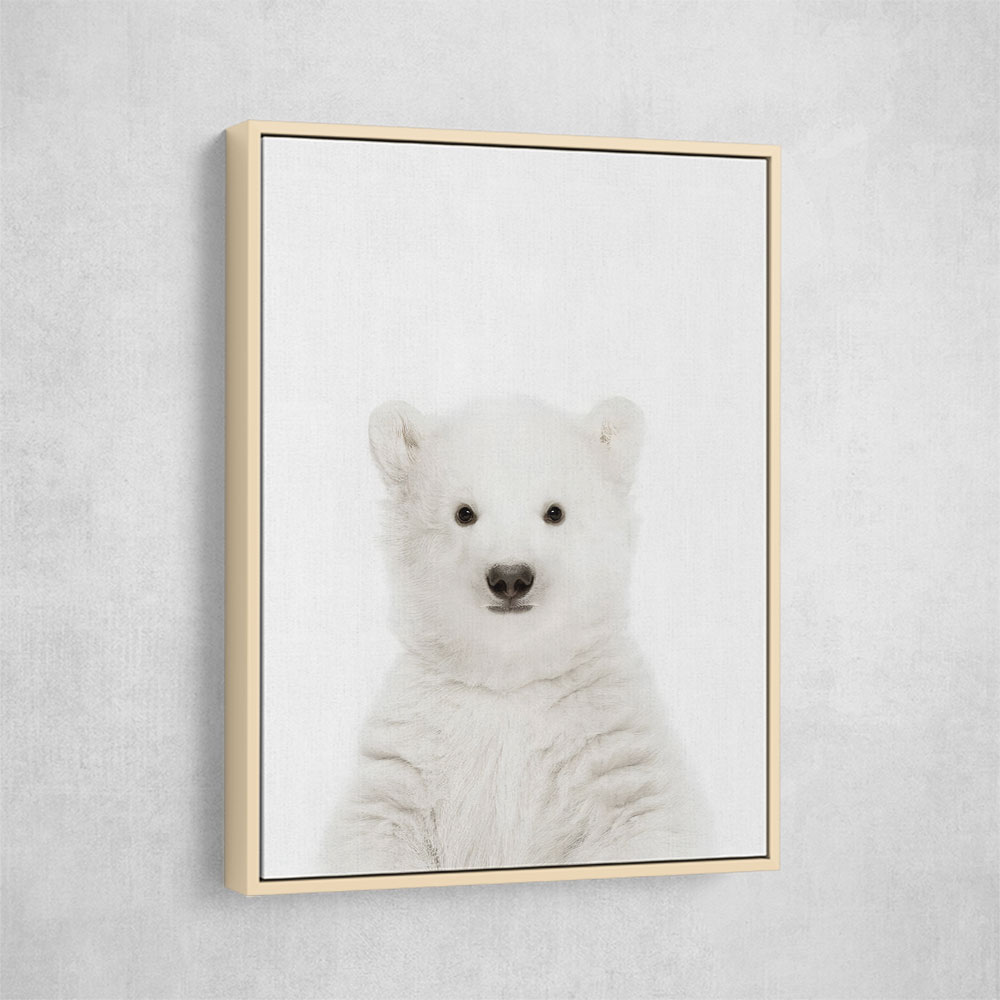 Baby Polar Bear