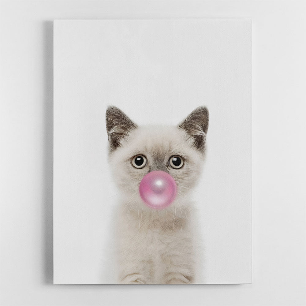 Kitten Bubble Gum