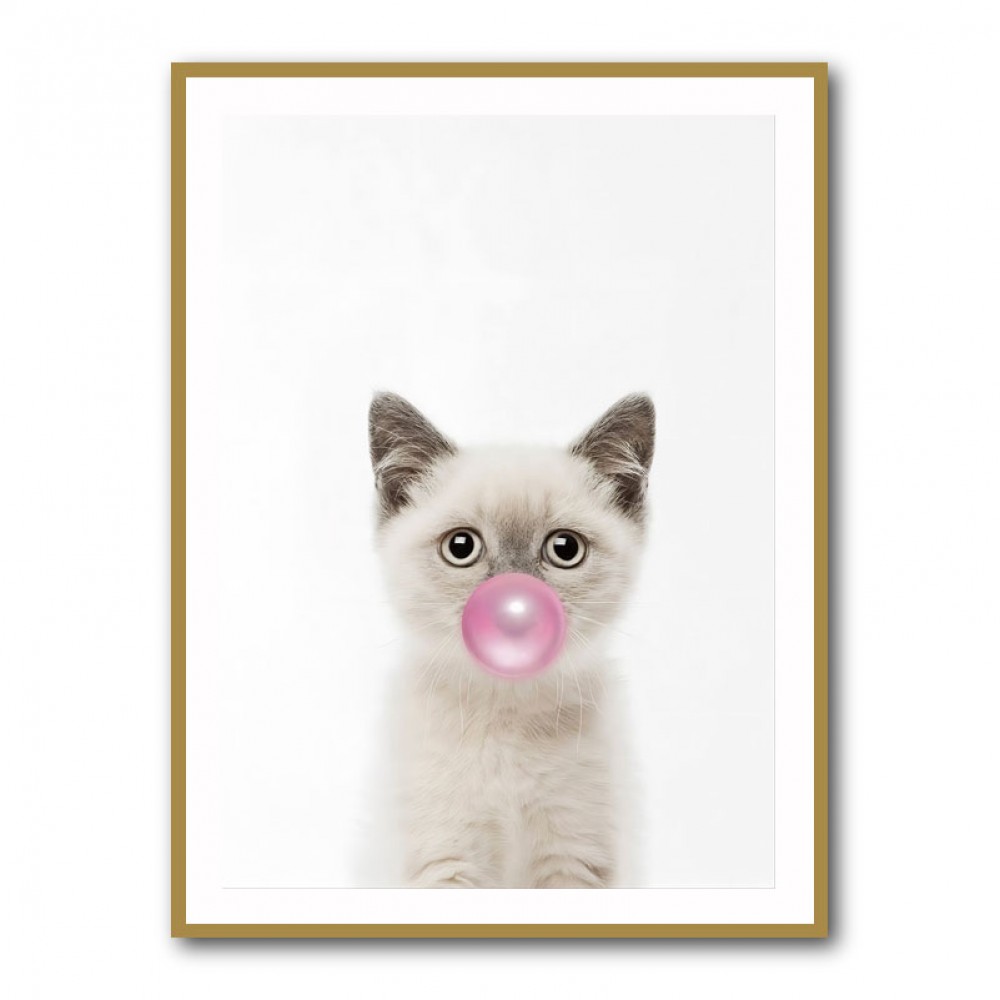 Kitten Bubble Gum