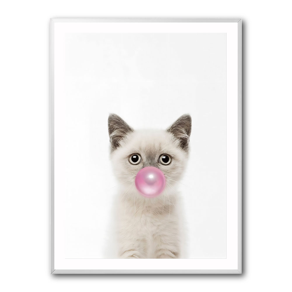 Kitten Bubble Gum