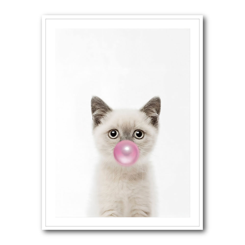 Kitten Bubble Gum