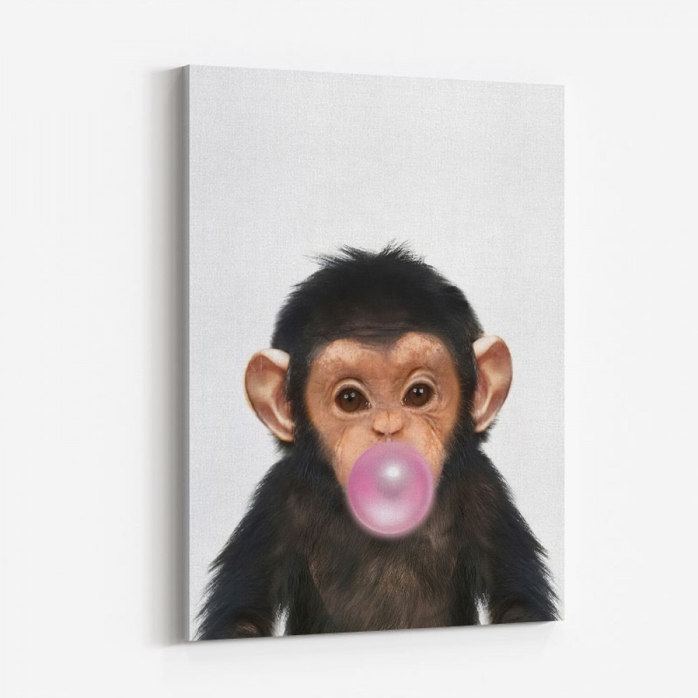 Chimp Bubble Gum