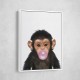 Chimp Bubble Gum