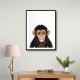 Chimp Bubble Gum