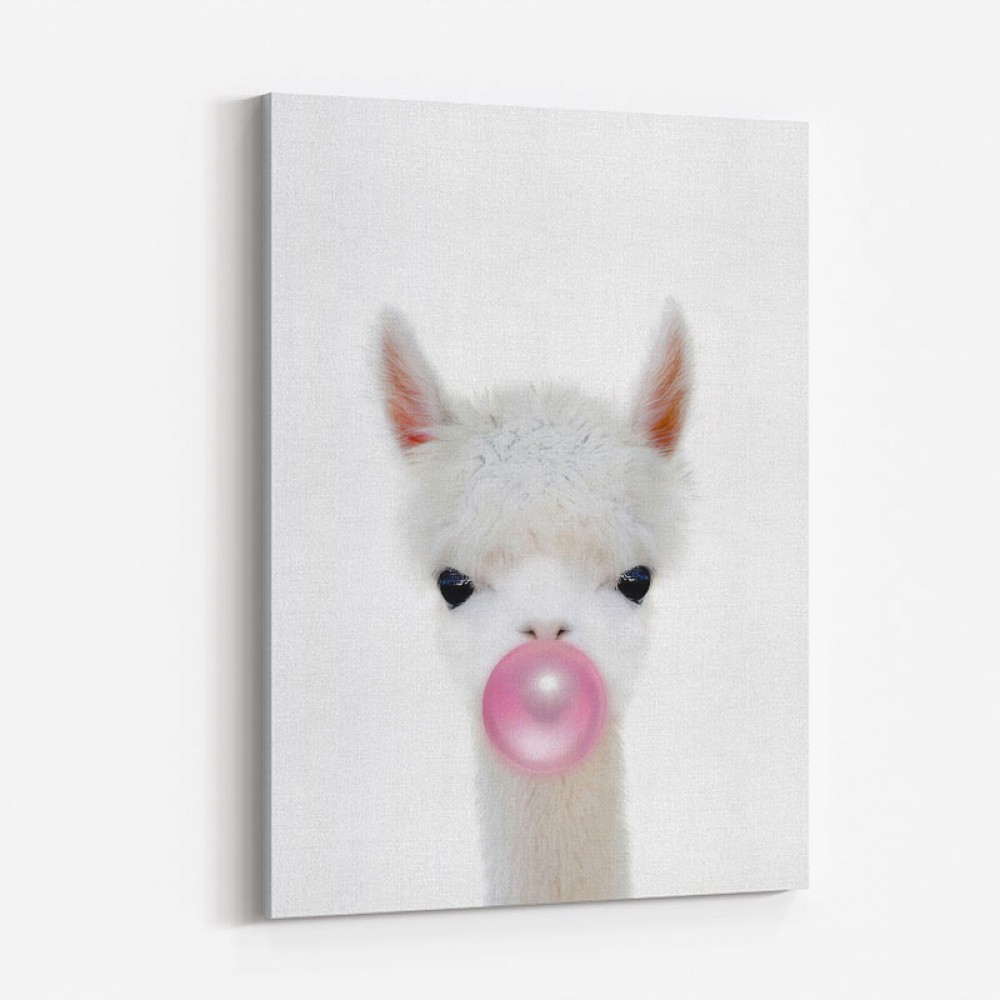 Llama Bubble Gum