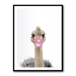 Ostrich Bubble Gum