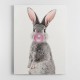 Grey Rabbit Bubble Gum