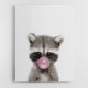 Raccoon Bubble Gum