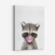 Raccoon Bubble Gum