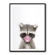 Raccoon Bubble Gum