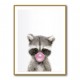 Raccoon Bubble Gum