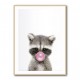 Raccoon Bubble Gum