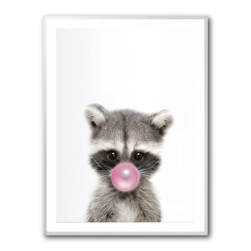 Raccoon Bubble Gum