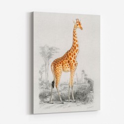 Vintage Giraffe