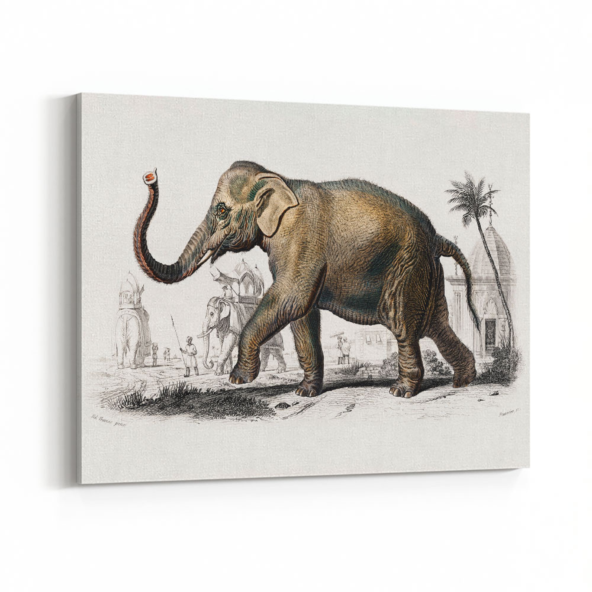 Vintage Elephant Wall Art