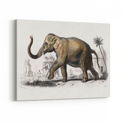 Vintage Elephant