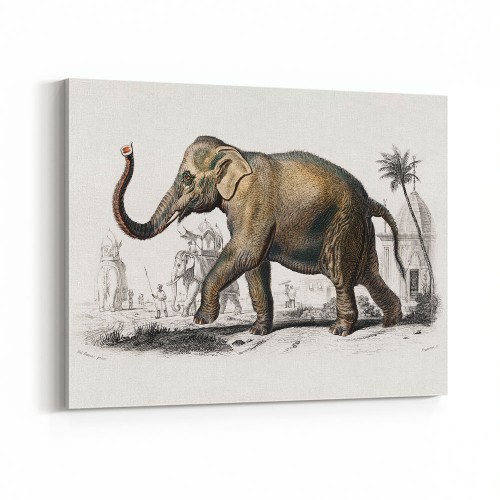 Vintage Animal Wall Art