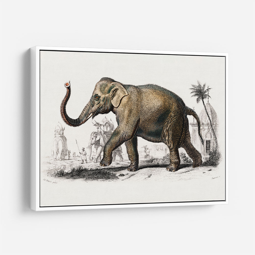 Vintage Elephant