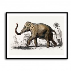 Vintage Elephant