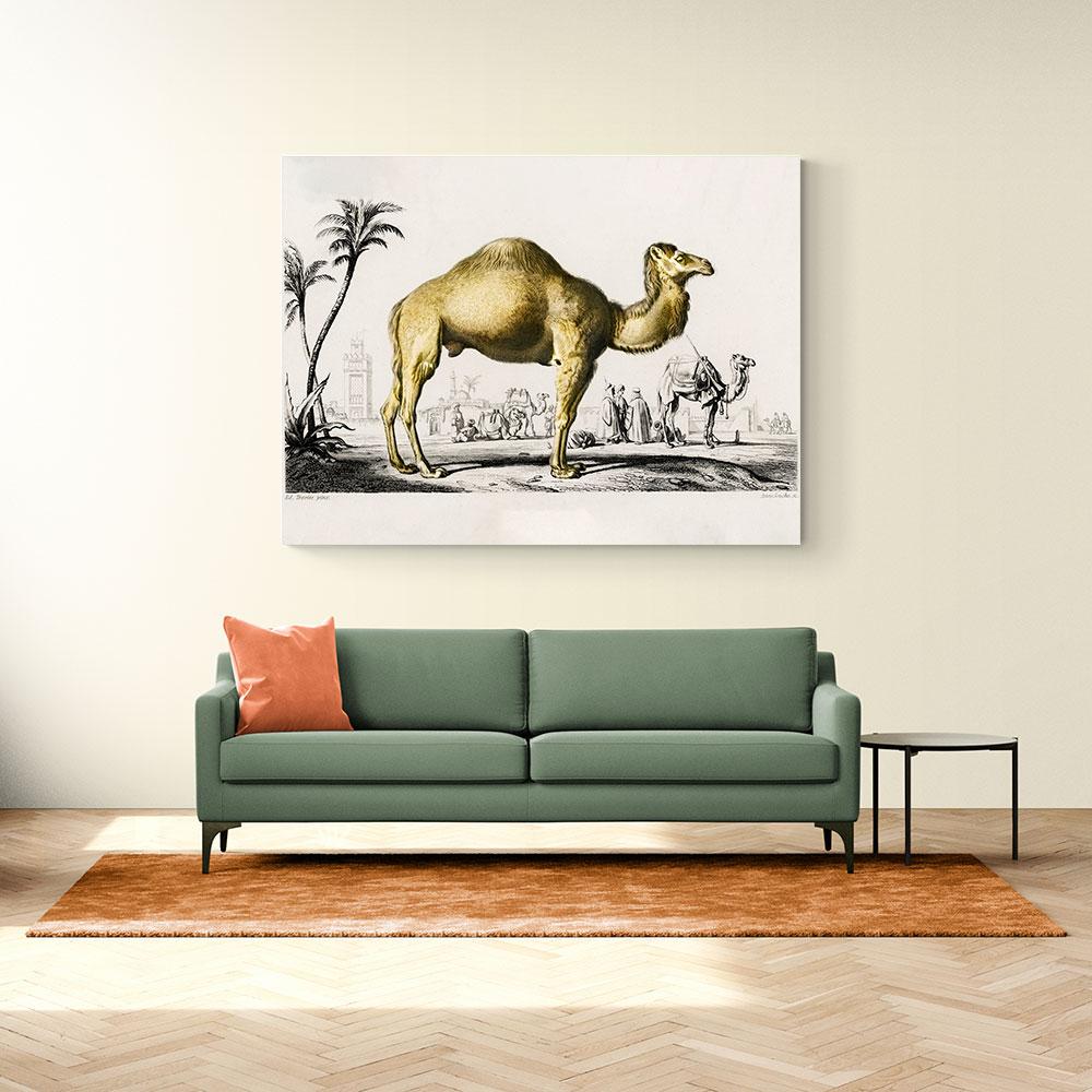 Vintage Camel Vintage Camel