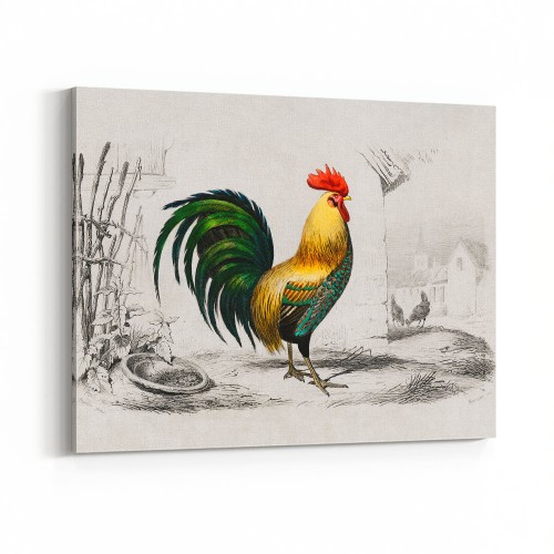 Vintage Animal Wall Art