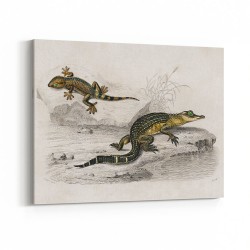 Vintage Alligator Lilfords Wall Lizard