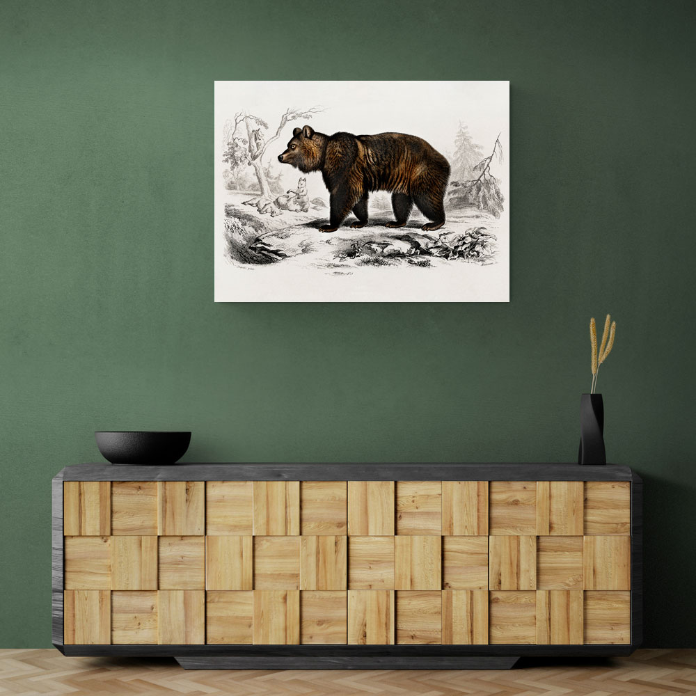 Vintage Brown Bear