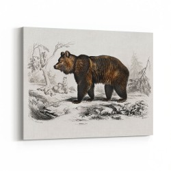 Vintage Brown Bear