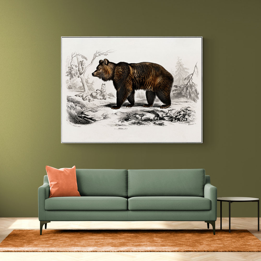 Vintage Brown Bear