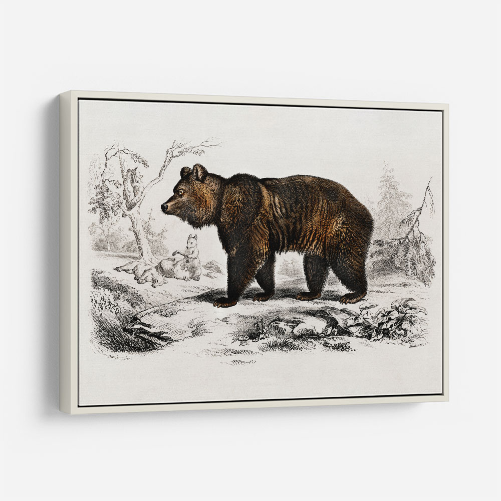 Vintage Brown Bear