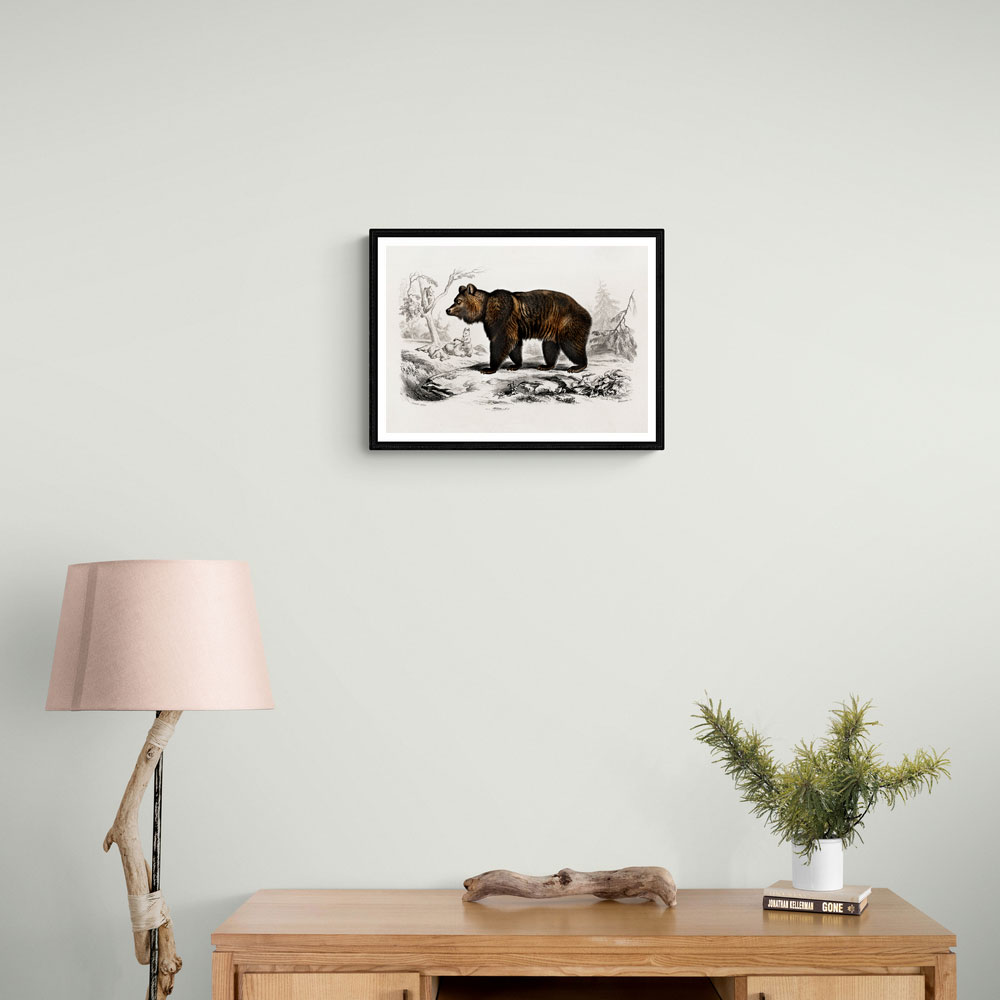 Vintage Brown Bear