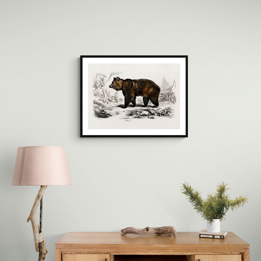 Vintage Brown Bear Vintage Brown Bear